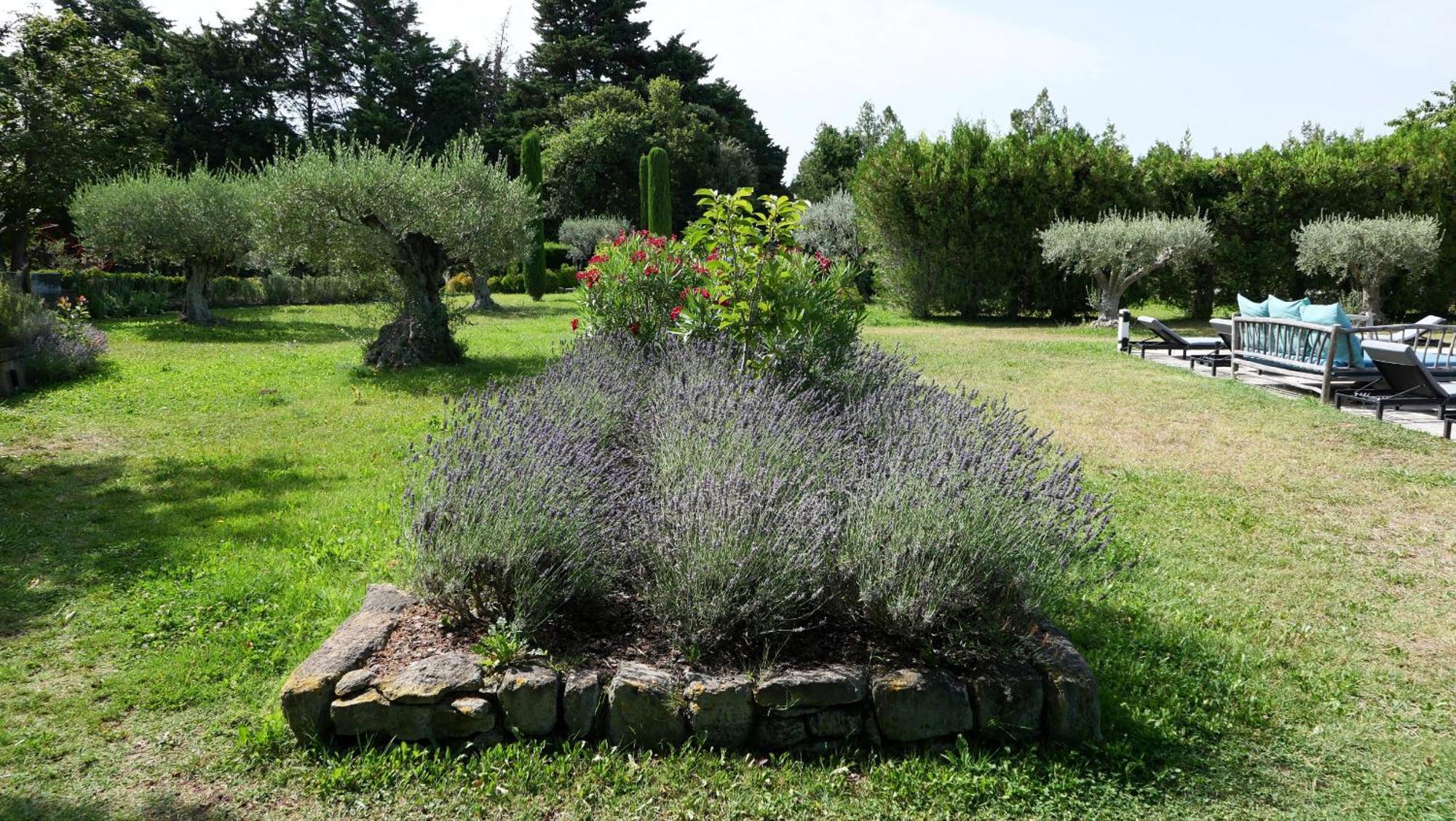 קאביון Typical Provencal Farm House Close To L'Isle Sur La Sorgue - 12 Persons מראה חיצוני תמונה