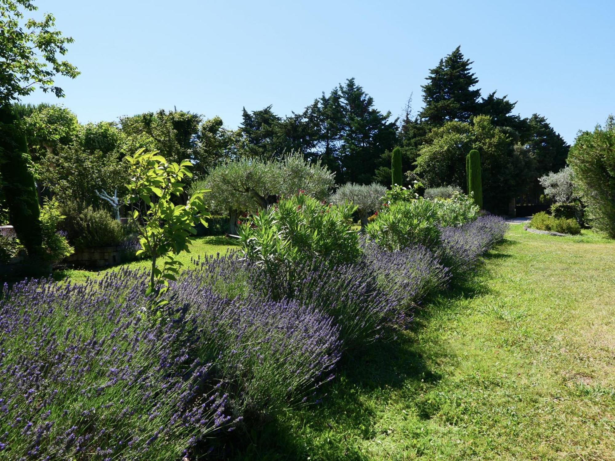 קאביון Typical Provencal Farm House Close To L'Isle Sur La Sorgue - 12 Persons מראה חיצוני תמונה