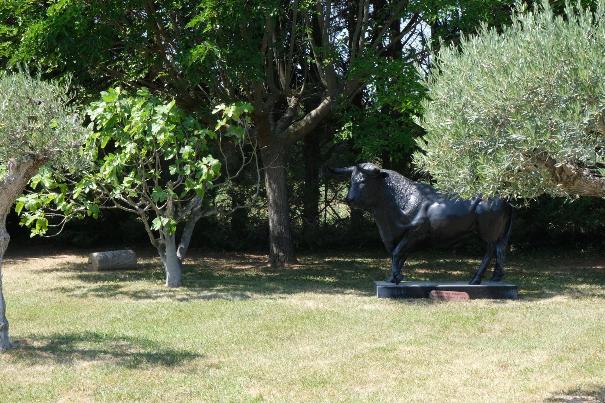 קאביון Typical Provencal Farm House Close To L'Isle Sur La Sorgue - 12 Persons מראה חיצוני תמונה