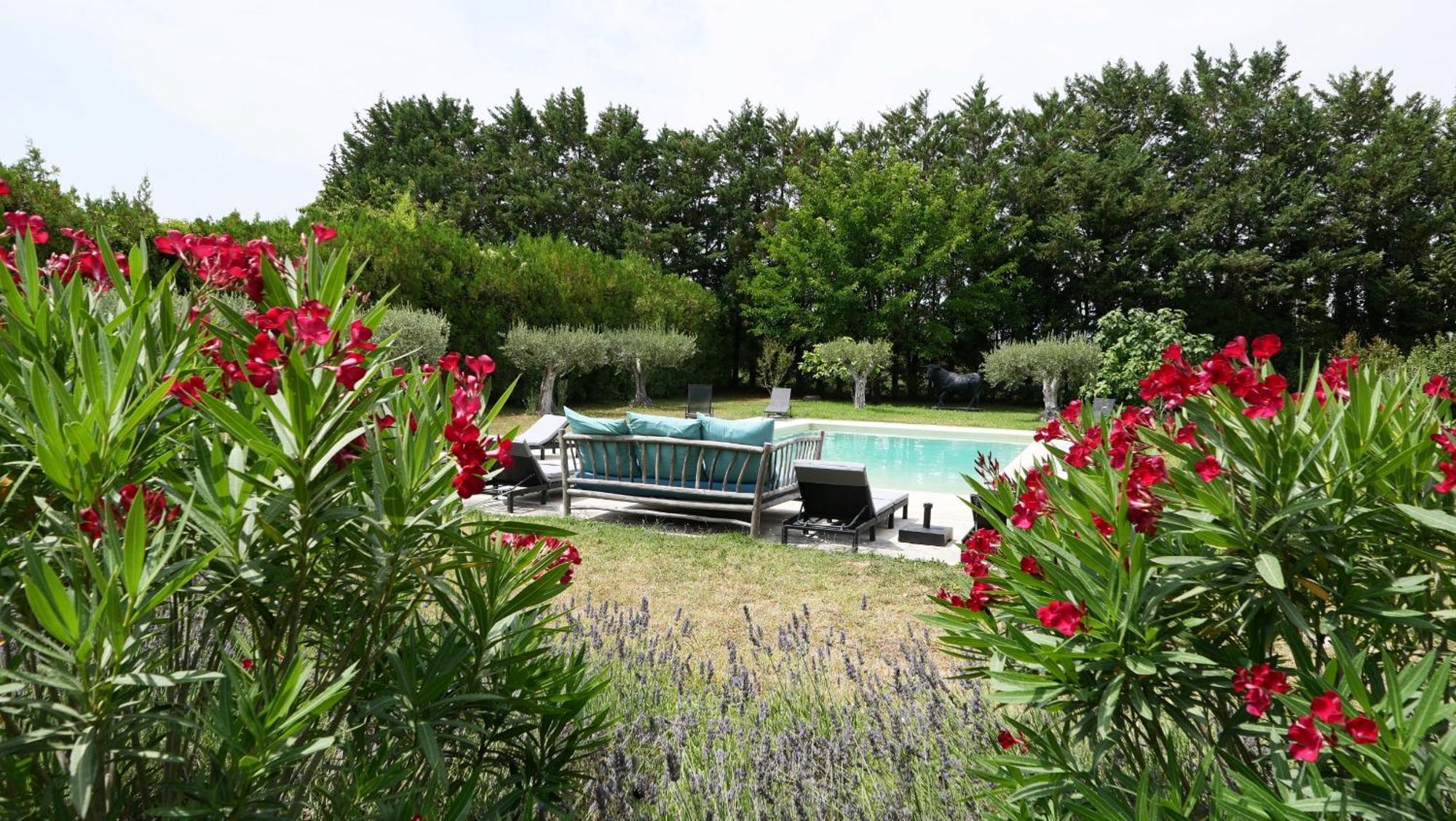 קאביון Typical Provencal Farm House Close To L'Isle Sur La Sorgue - 12 Persons מראה חיצוני תמונה